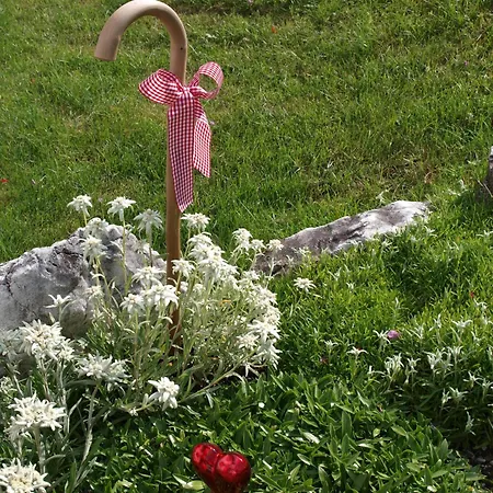 Daire Alpenferienwohnung Strickner *