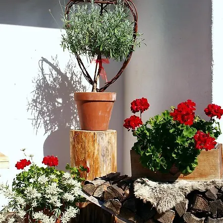 Daire Alpenferienwohnung Strickner