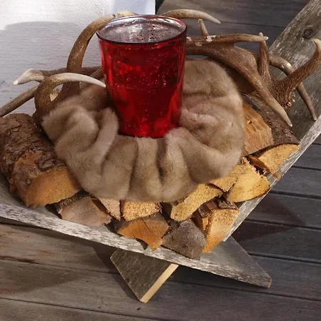 Daire Alpenferienwohnung Strickner *